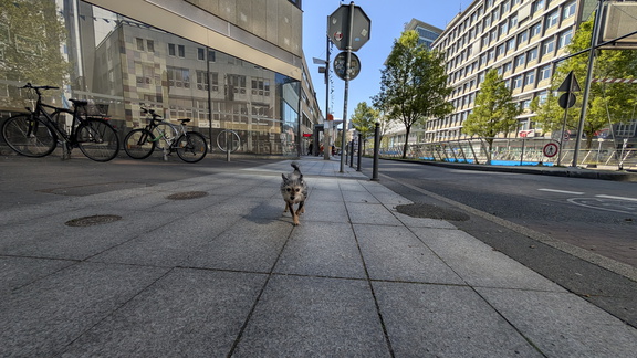 PXL 20250426 141121205