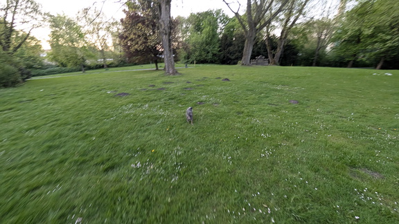 PXL 20250426 184557766