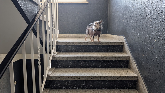 Ka-Freitag 19.04.2025