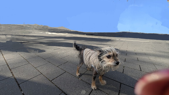 PXL 20250419 151504079~2