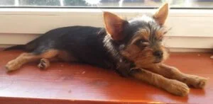 Lulu erste Fotos