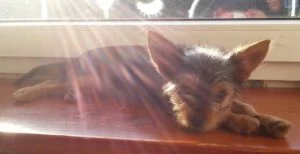 Lulu erste Fotos